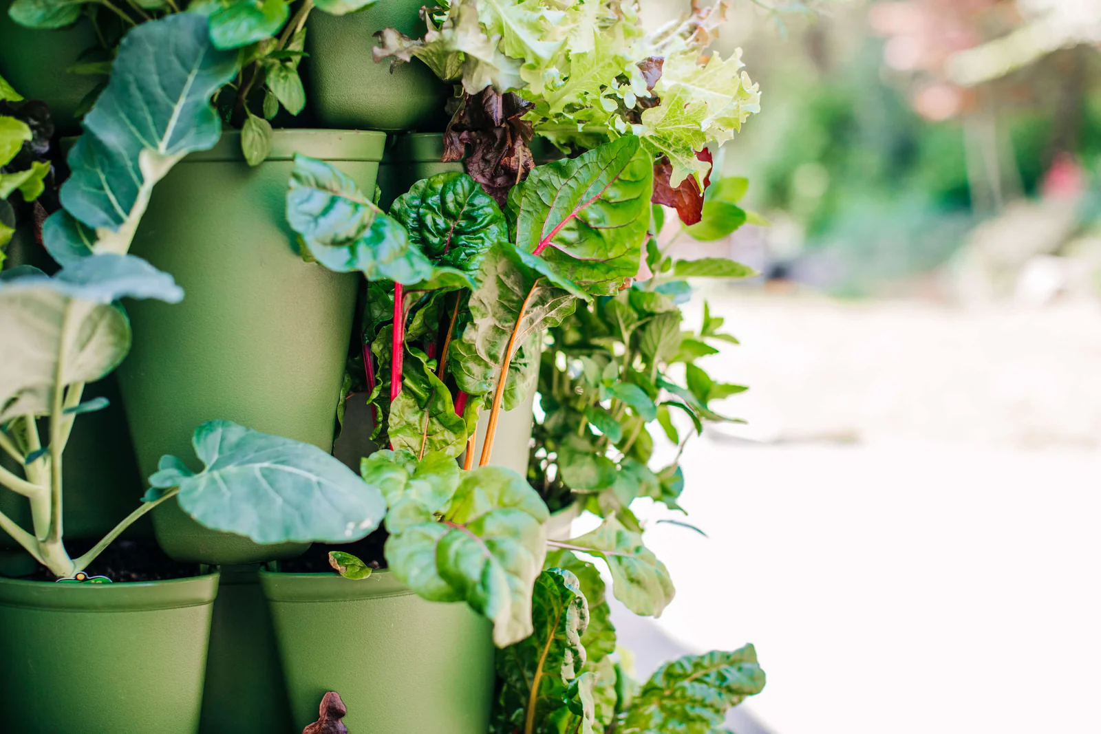 Grow More in Less Space